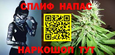 СК Будённовск