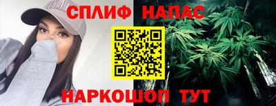 СК Будённовск