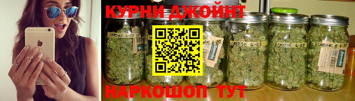 Стерлитамак  Бошки Шишки сатива  Канабис OG Kush  Вход с VPN 